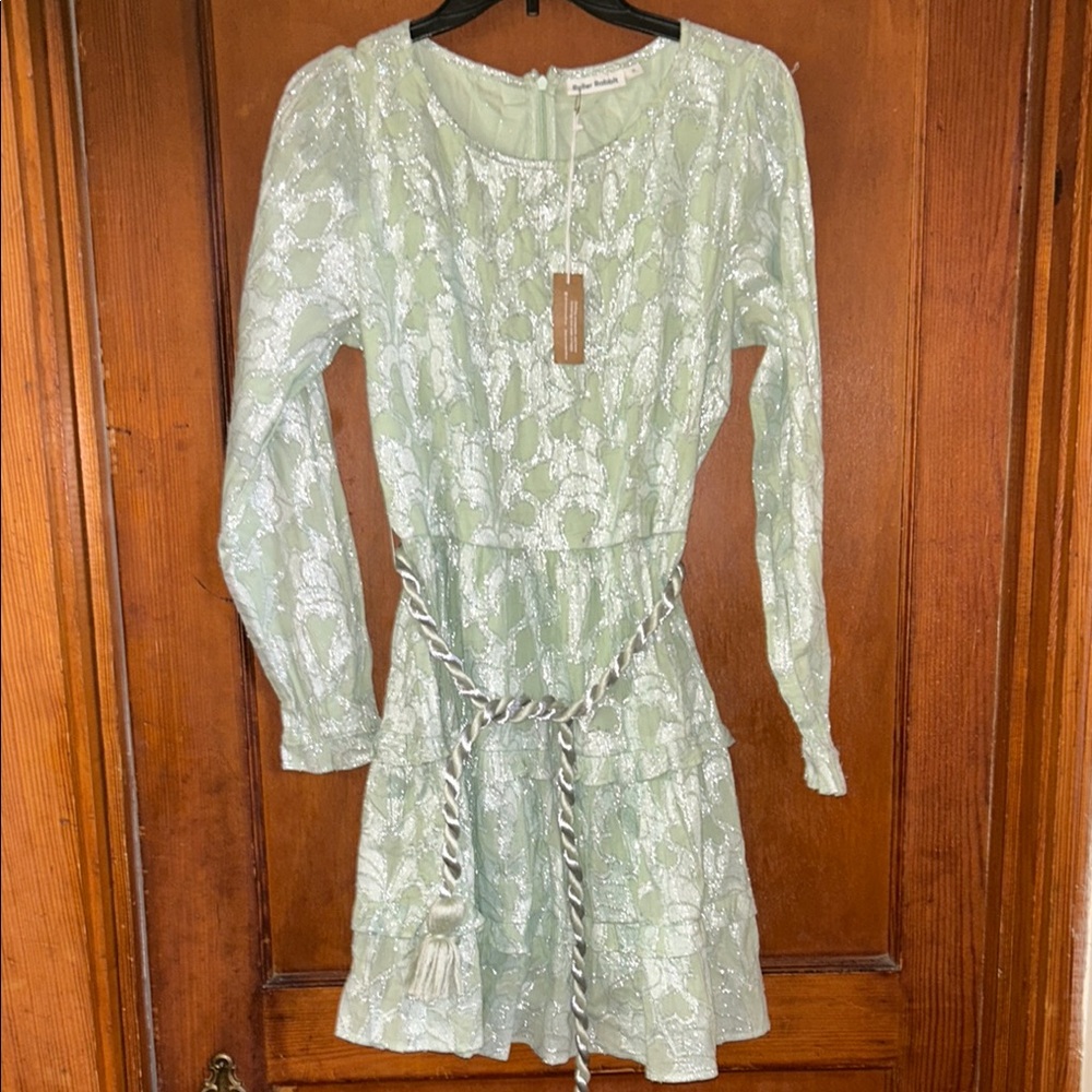 NWT Roller Rabbit Green & Silver Dress with belt - size Medium - Picture 4 of 9